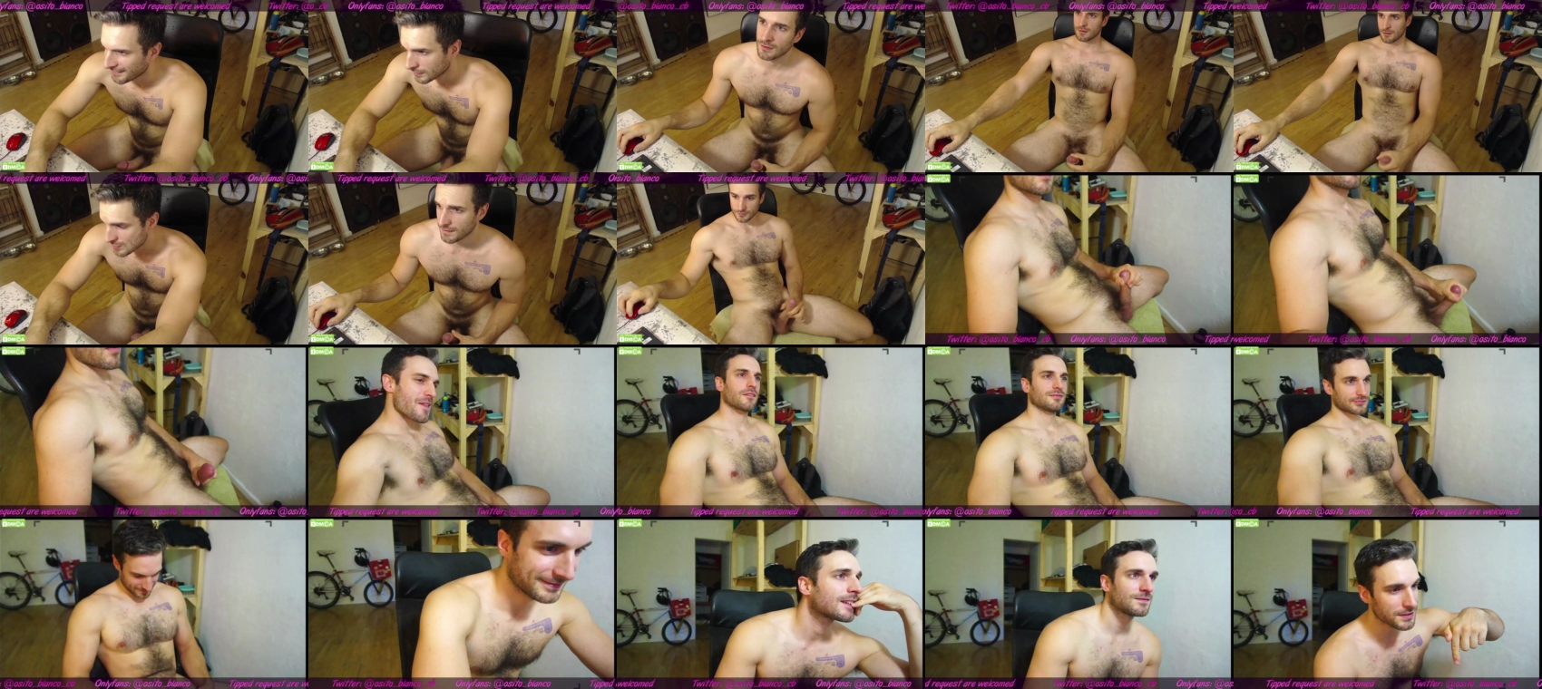 osito_blanco  26-01-2023